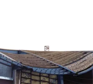 Unique Compound Curved Joists